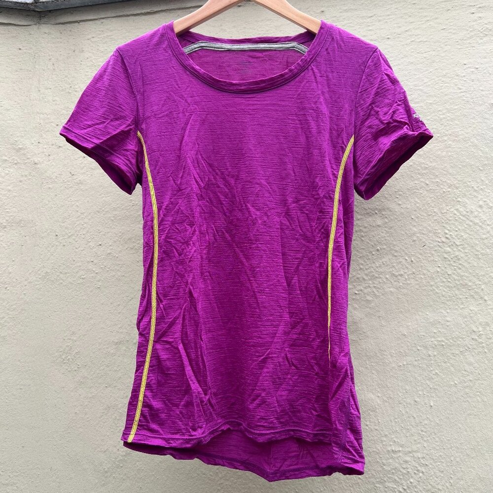 Icebreaker tee